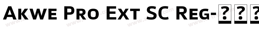 Akwe Pro Ext SC Reg字体转换
